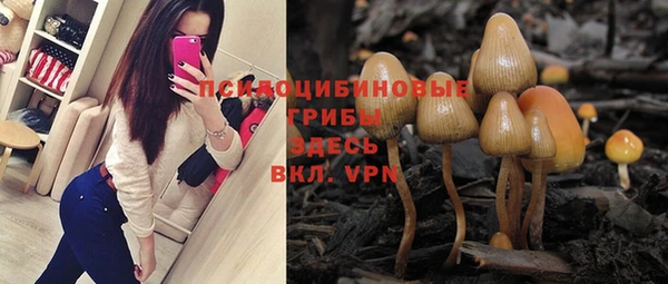 ГАЛЛЮЦИНОГЕННЫЕ ГРИБЫ Алексин