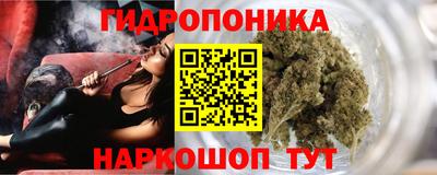 твердый Гатчина