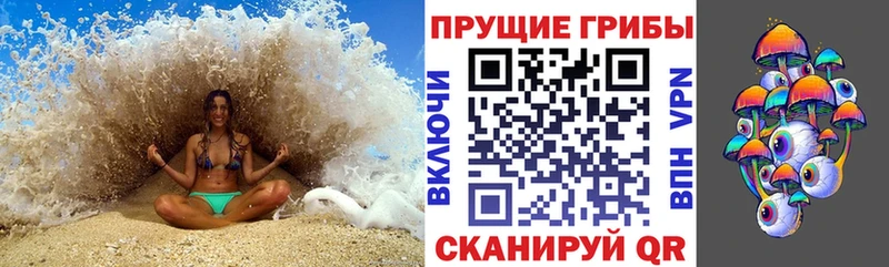 купить наркотик  Кимры  Галлюциногенные грибы Magic Shrooms 