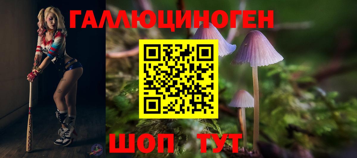 Кимры  Псилоцибиновые грибы прущие грибы  Галлюциногенные грибы ЛСД  цена   Вход с VPN 